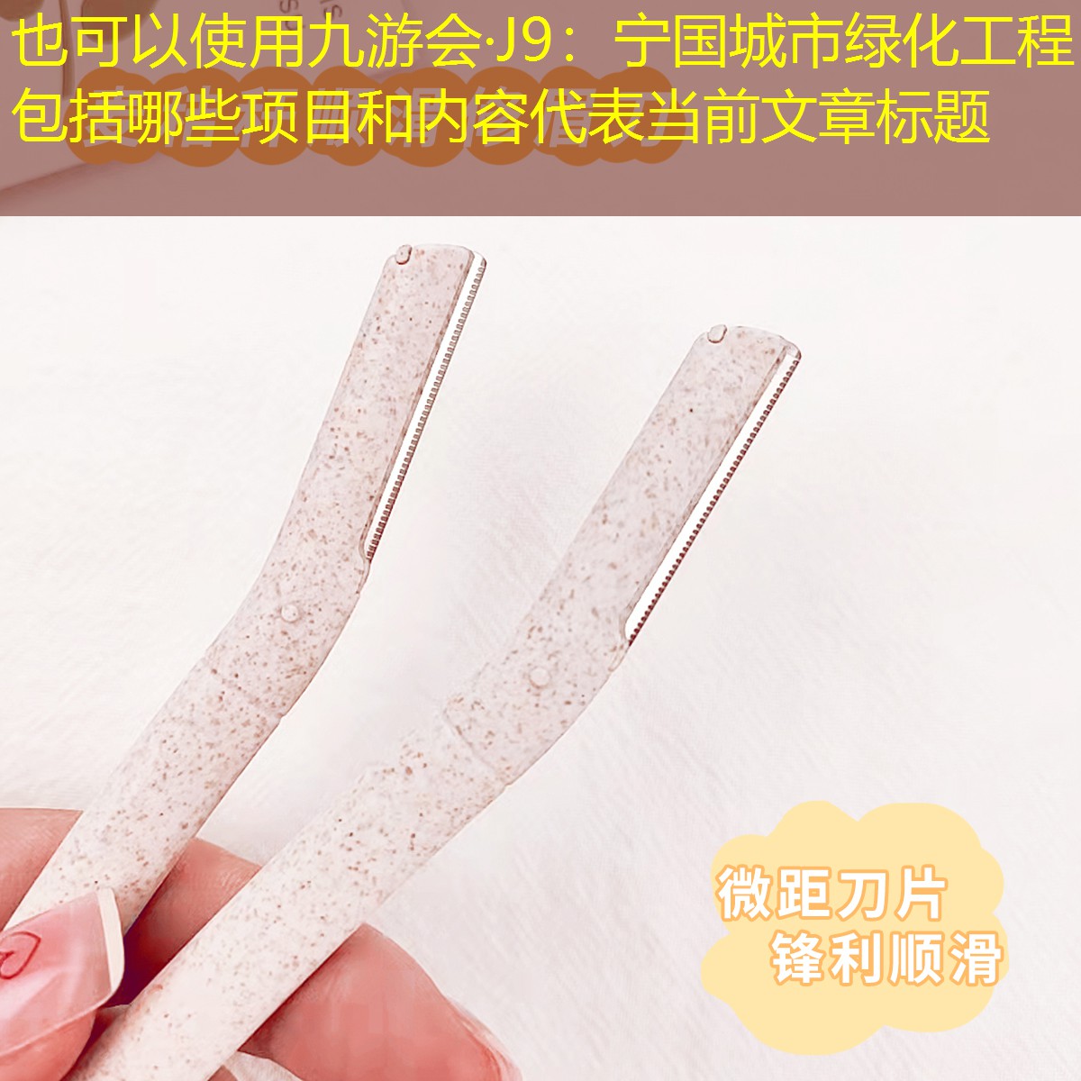 宁国城市绿化工程包括哪些项目和内容